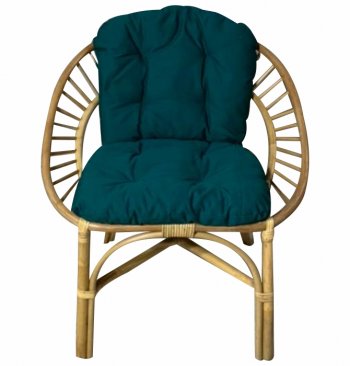 Кресло RJG-Princess (Ротанг №4, ткань JPN DRILL 034) в Алдане - mebel154.com