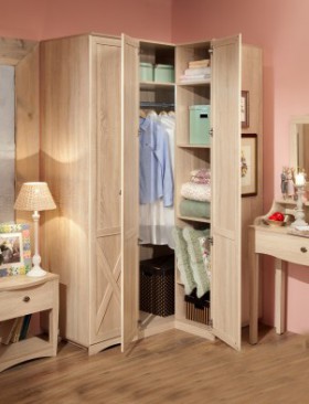 Шкаф для одежды угловой 14 Adele в Алдане - mebel154.com