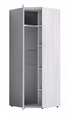 Шкаф для одежды угловой 56-2 Paola в Алдане - mebel154.com