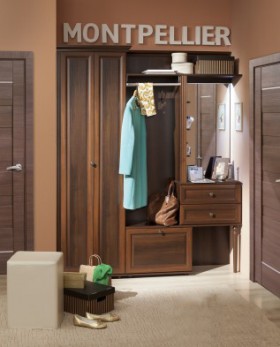 Шкаф для прихожей МЦН 2 Montpellier в Алдане - mebel154.com